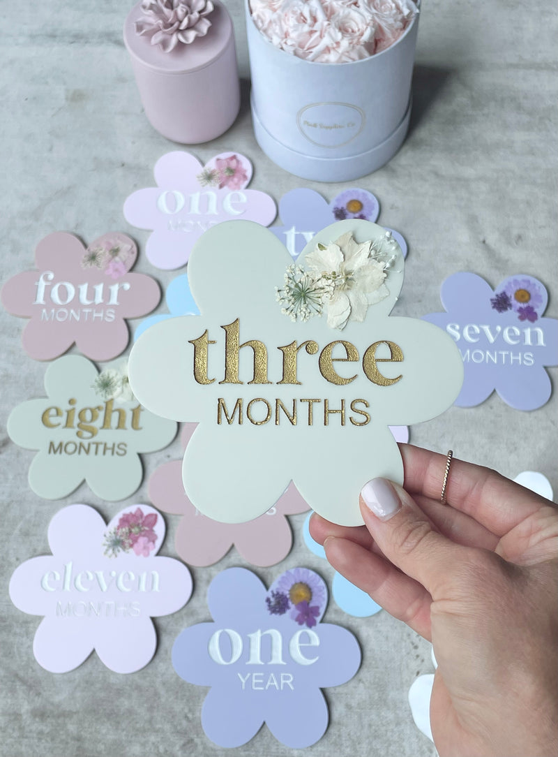 Acrylic Daisy Monthly Milestone Set with Dried Pressed Flowers