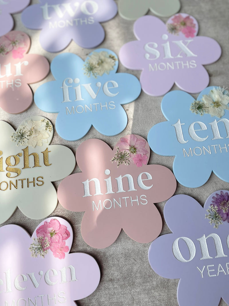 Acrylic Daisy Monthly Milestone Set with Dried Pressed Flowers