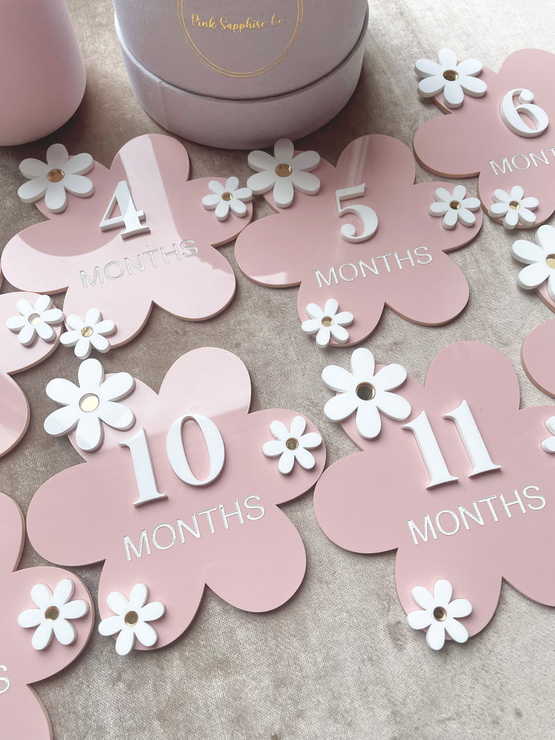 ACRYLIC MONTHLY MILESTONE DISCS CRICUT 