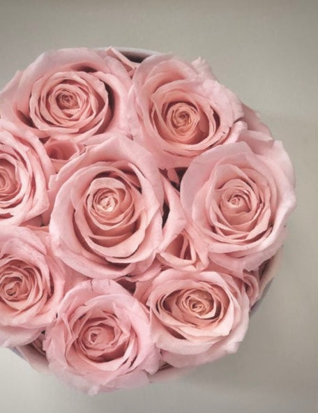 Couture Round Dusty Rose Velvet Box with 7-9 Eternity Roses
